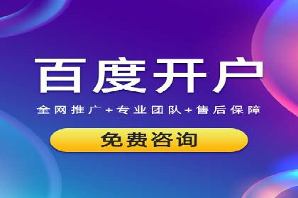 某电商平台的SEM关键词策略及成效分析